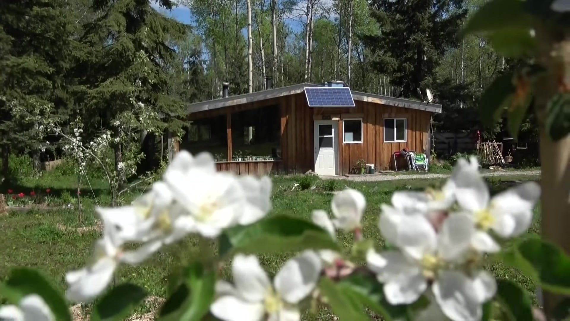 Screenshot at 00:01:04