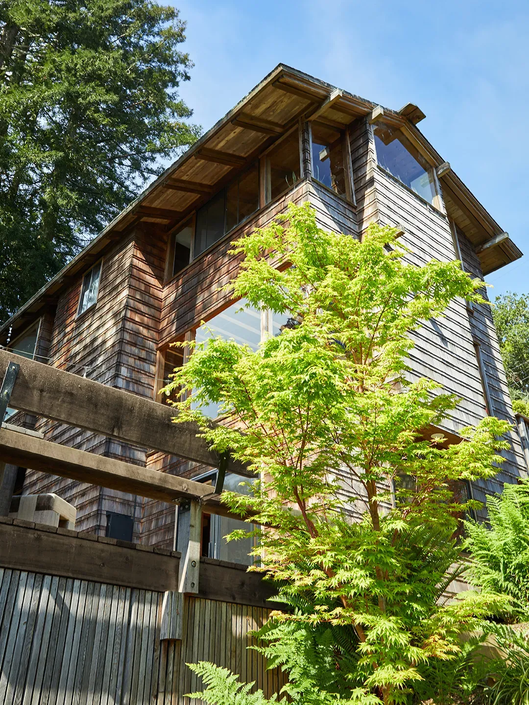 Here's the exterior—weathered wood wrapping everything. From this angle, feels tucked into trees.