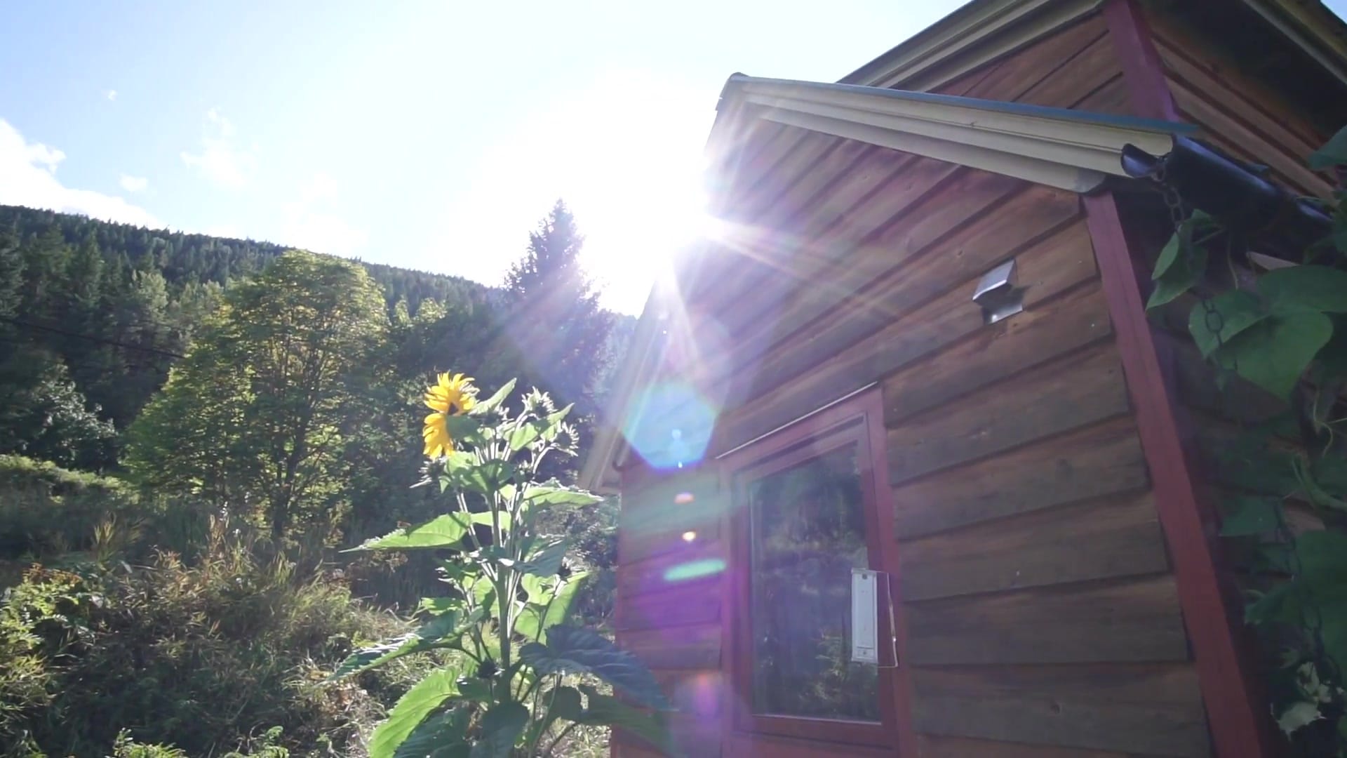 Screenshot at 00:06:44