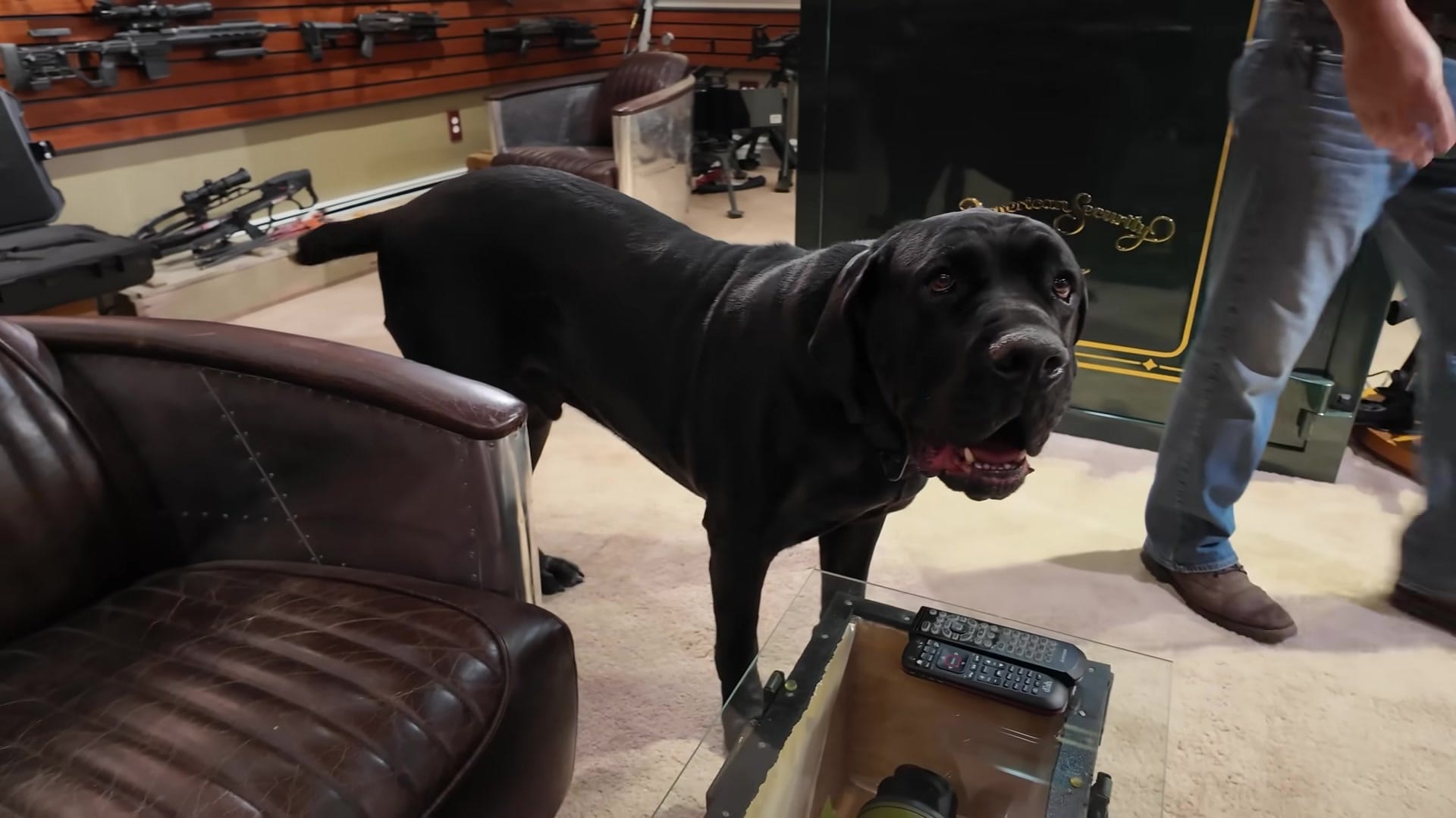 Screenshot at 00:04:42