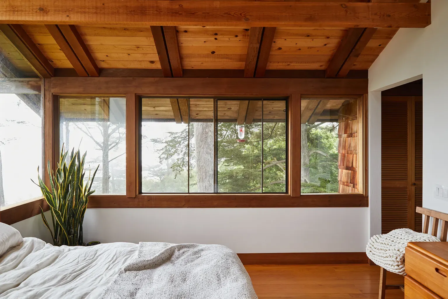 From the bed, that wall of glass. Trees basically inside the room.