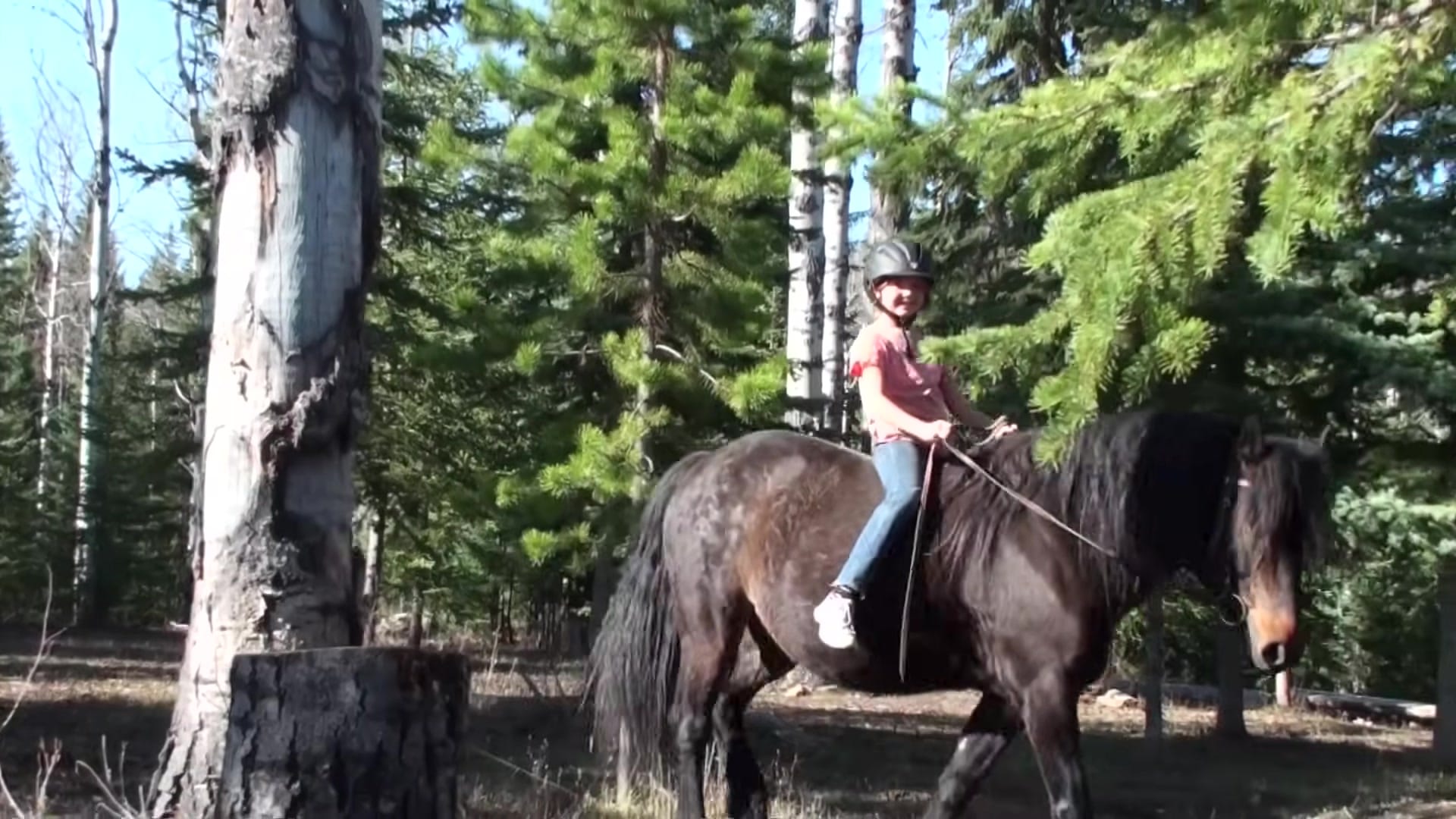 Screenshot at 00:09:38