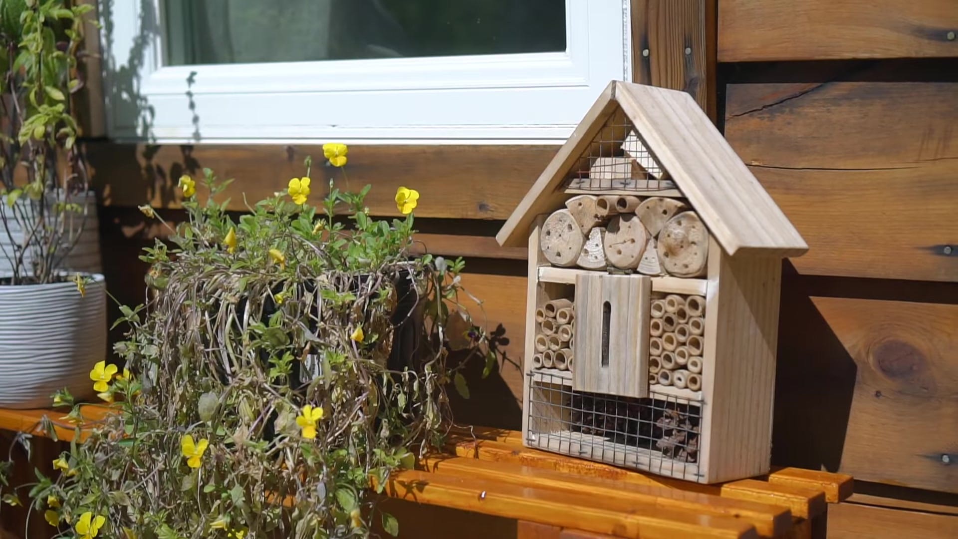 Screenshot at 00:09:11