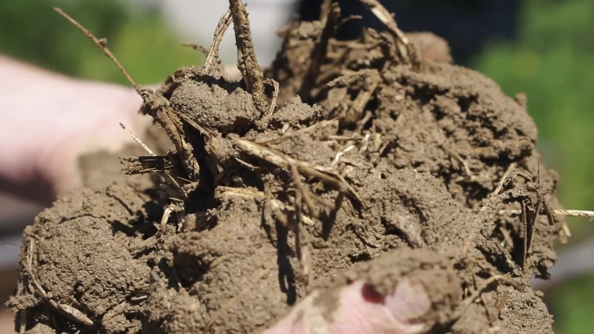 Screenshot at 00:01:15