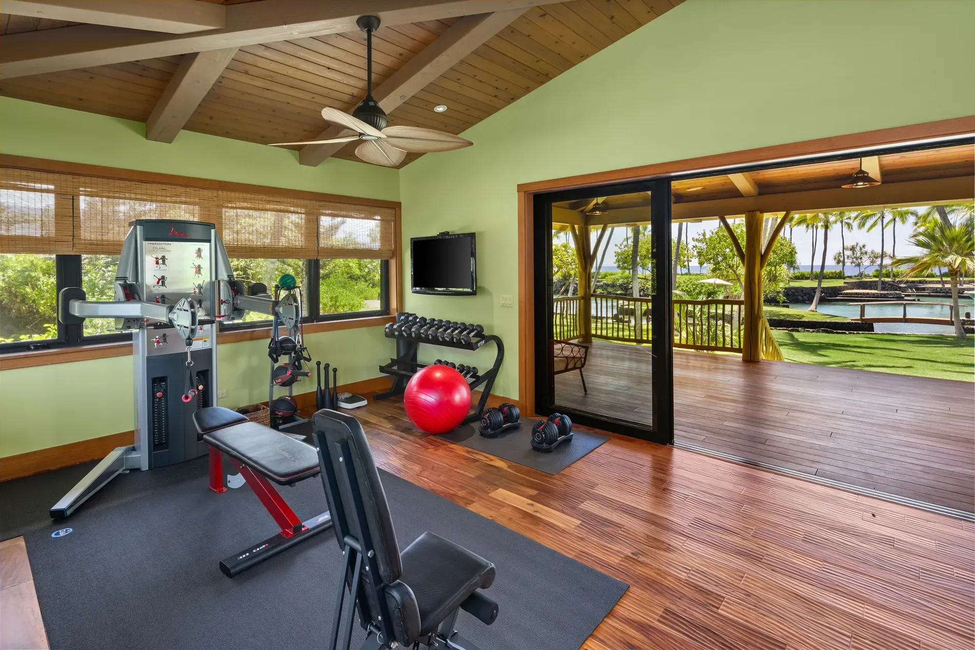 Here's the gym — mint walls, warm wood, plants doing the motivation.