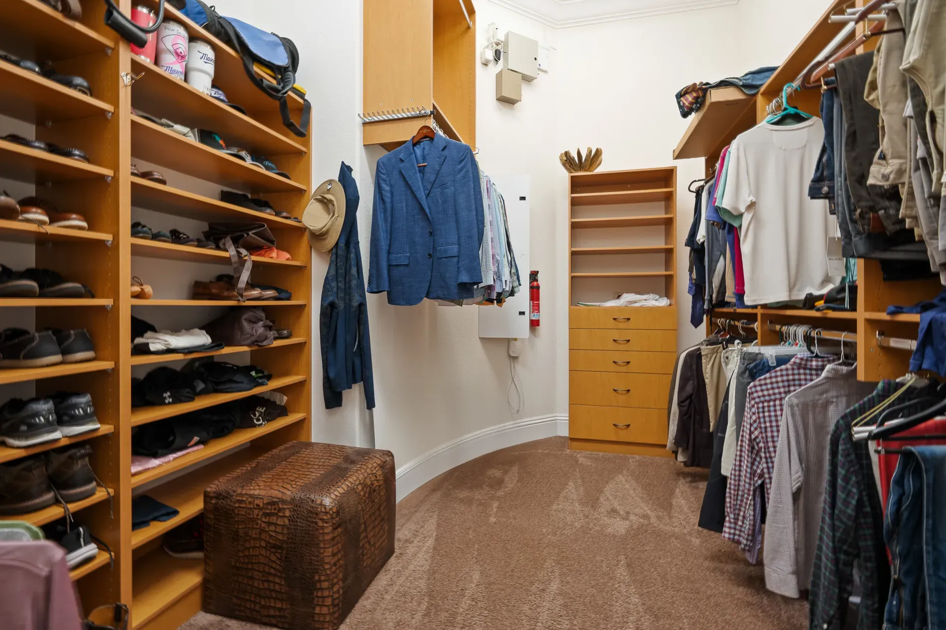 Closet is massive. Beige and fluffy carpet, everything slotted in.