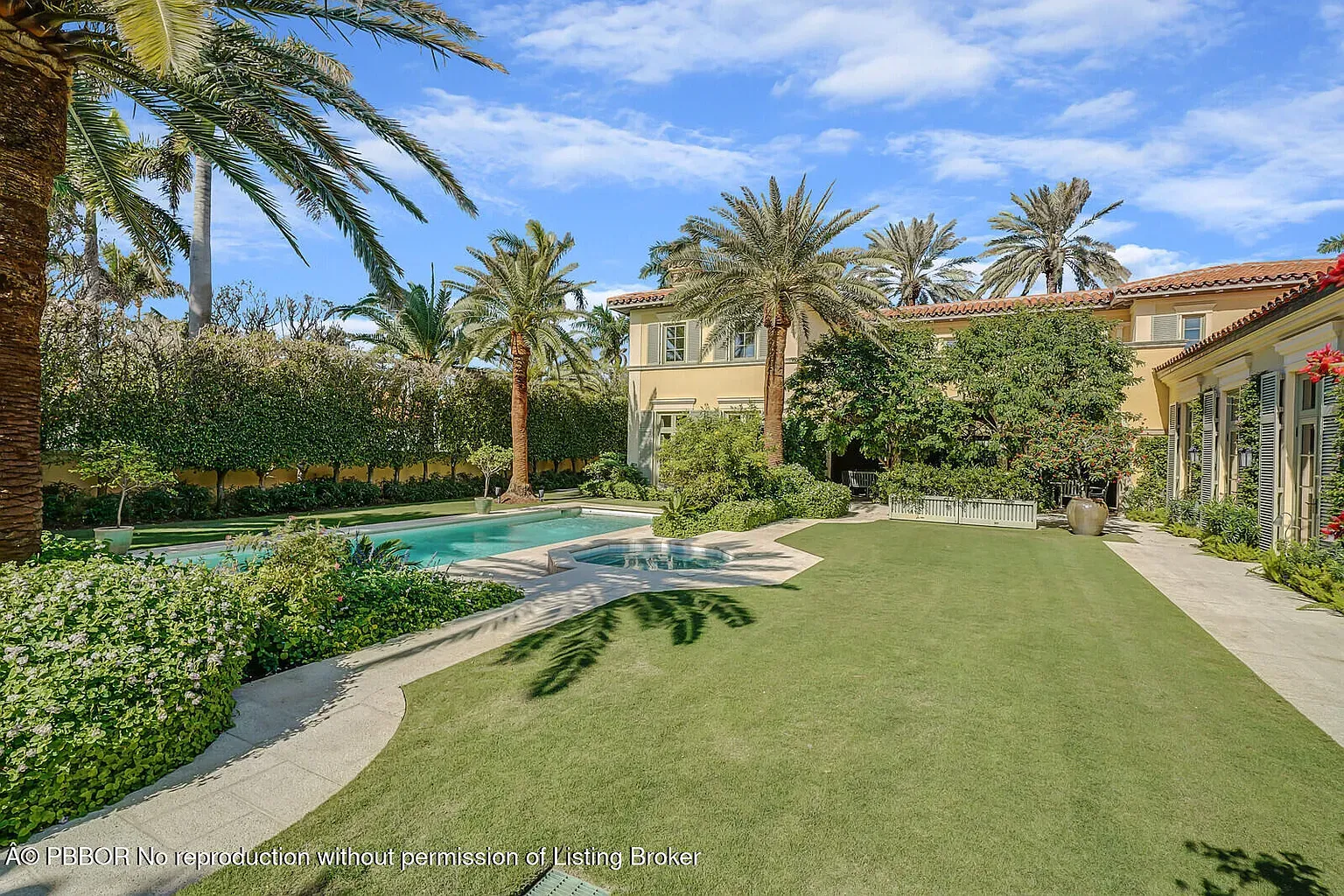 And then, pool time — crisp rectangle, stone deck, palms making their own breeze.