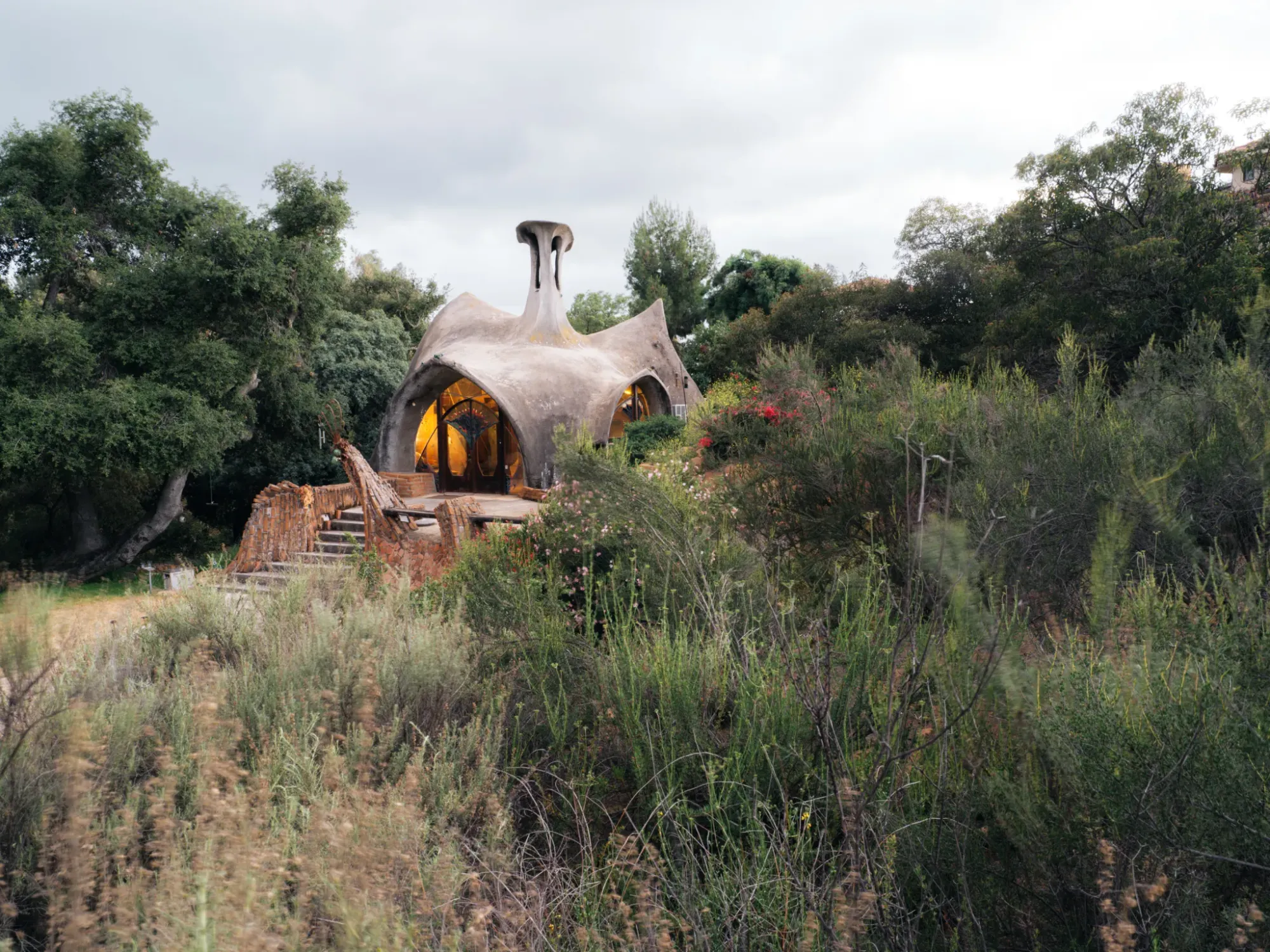 Warm, curvy exterior tucked into the grasses. Looks it grew here.