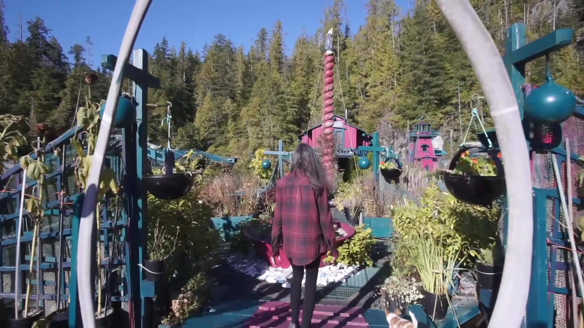 Screenshot at 00:00:43