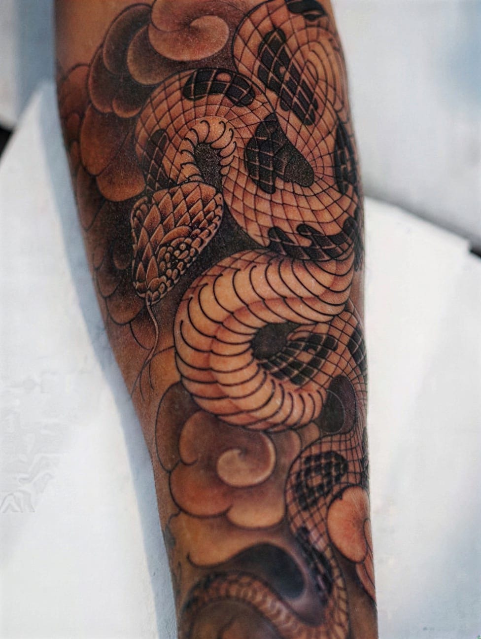 Snake Slithering Through Clouds