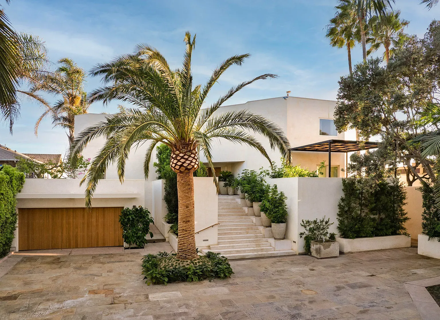 Clean lines and a single palm. Calm, almost gallery-like.