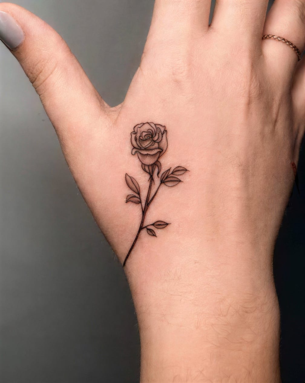 Delicate Rose for Subtle Romance