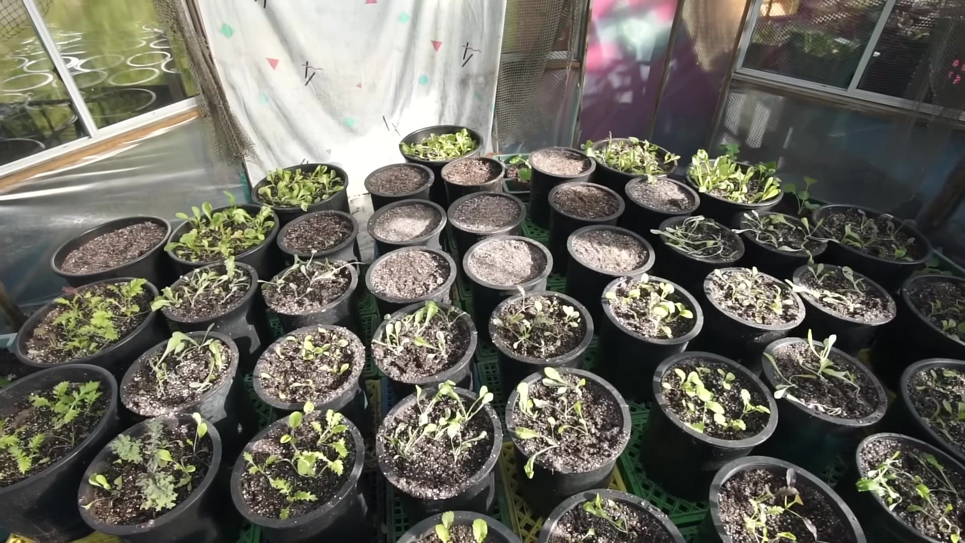 Screenshot at 00:02:29