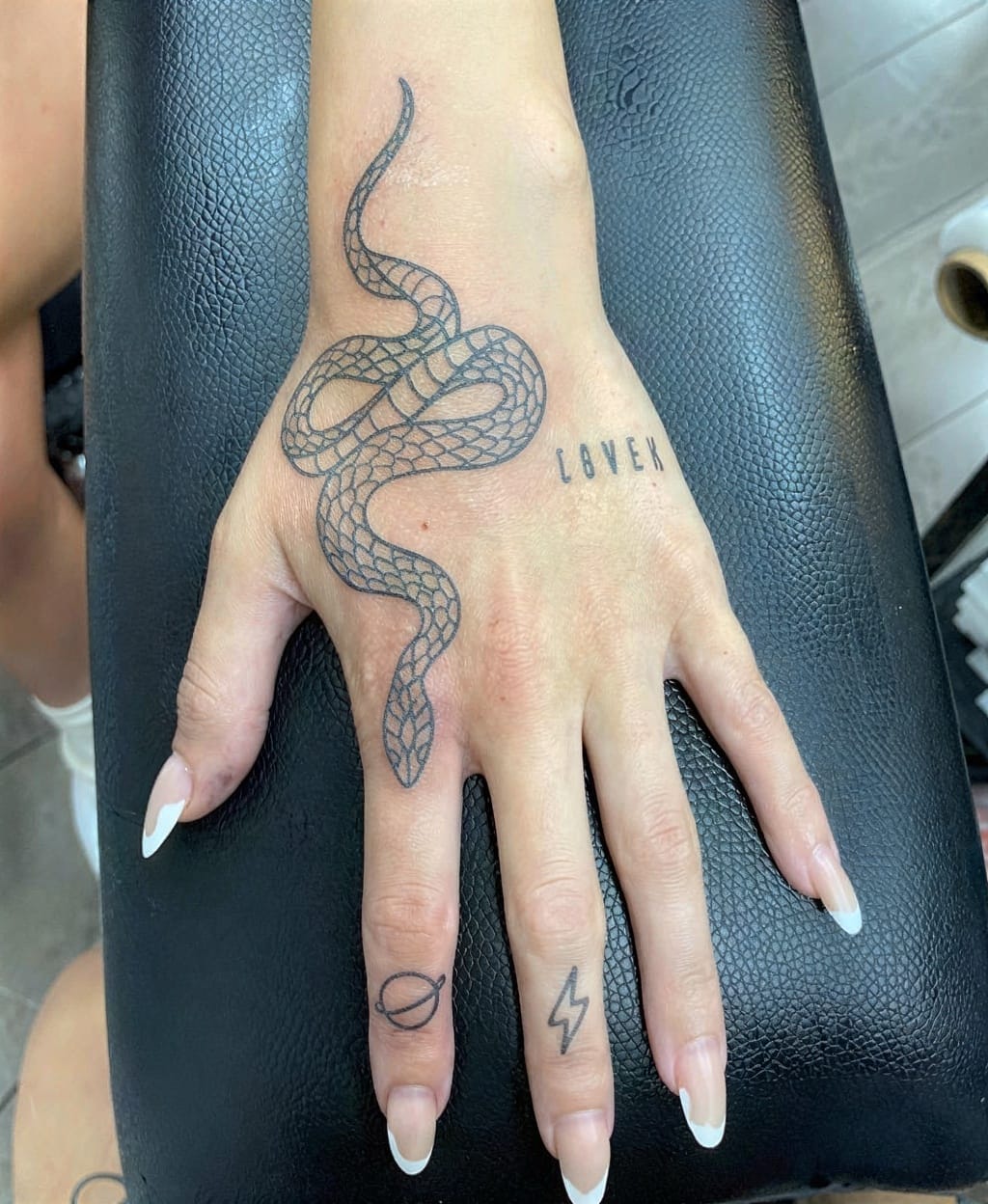 Small Snake That Slithers Subtly