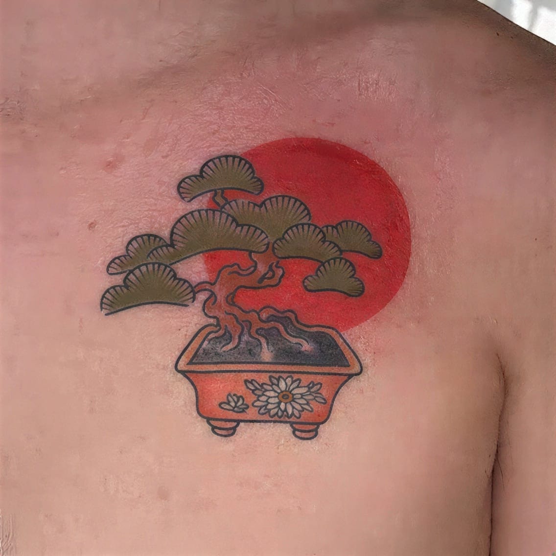 Mini Bonsai for Quiet Strength