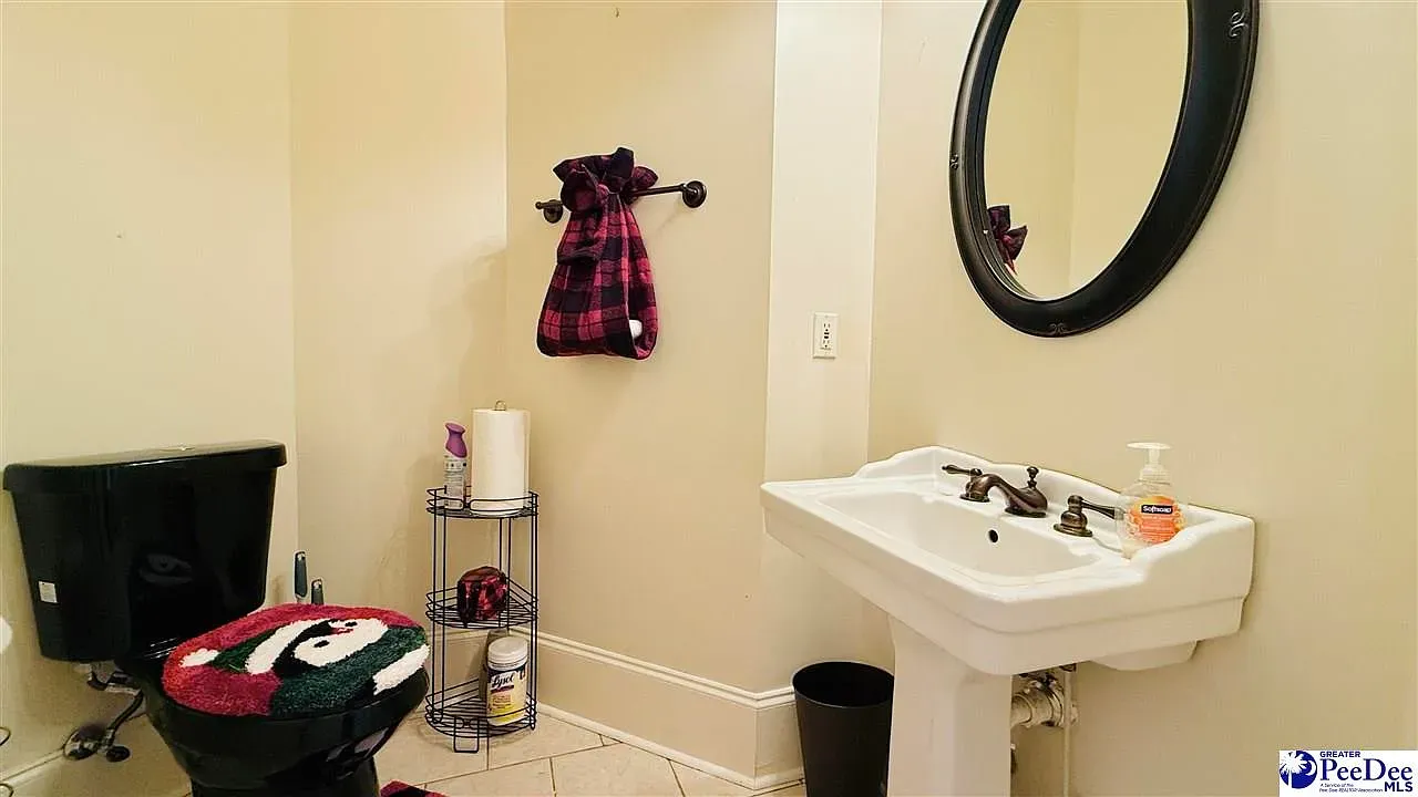 Black toilet cameo with a classic pedestal sink. Unexpected, kind of great.