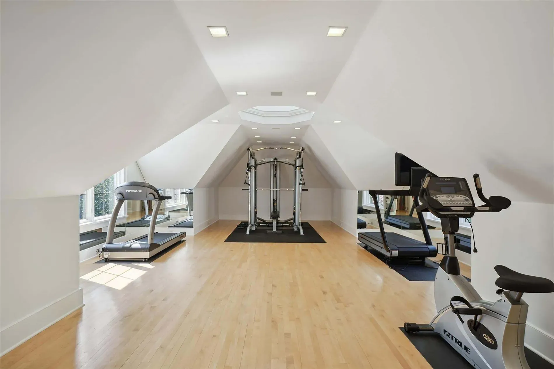 Skylight gym! Love the light. But echoes? Looks spotless, too spotless.