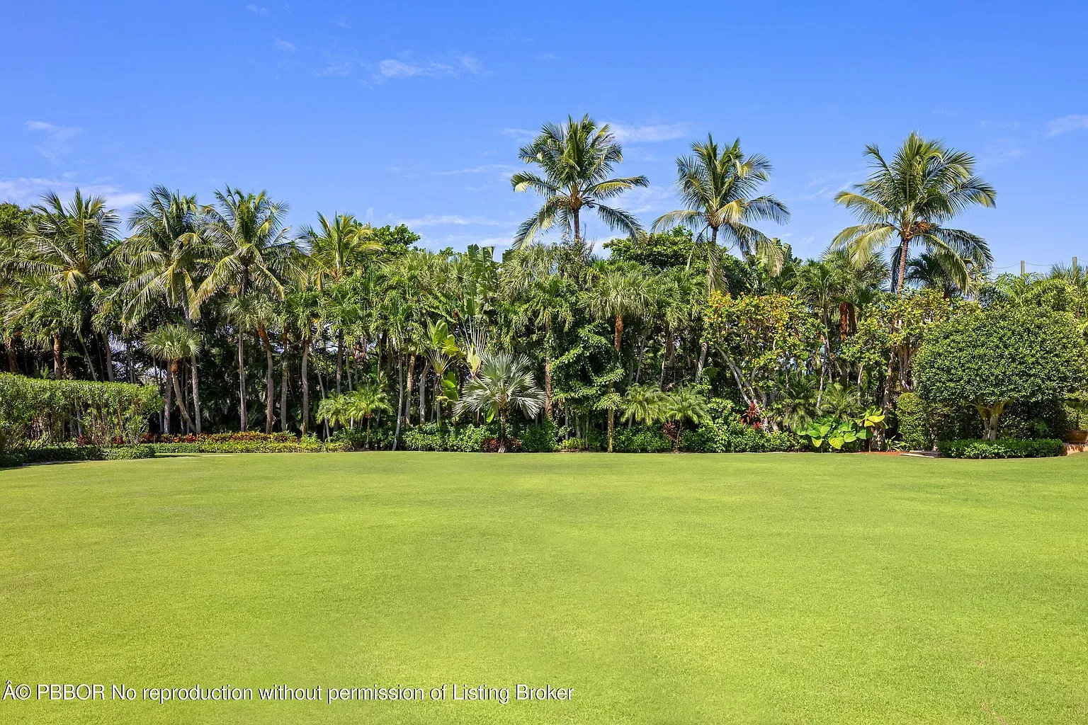 Endless lawn with heroic palms. Someone is mowing constantly.