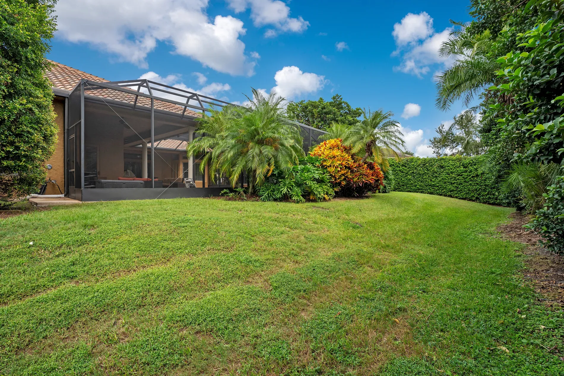 Backyard goes full tropical. Palms, bright shrubs, lawn looks pampered.