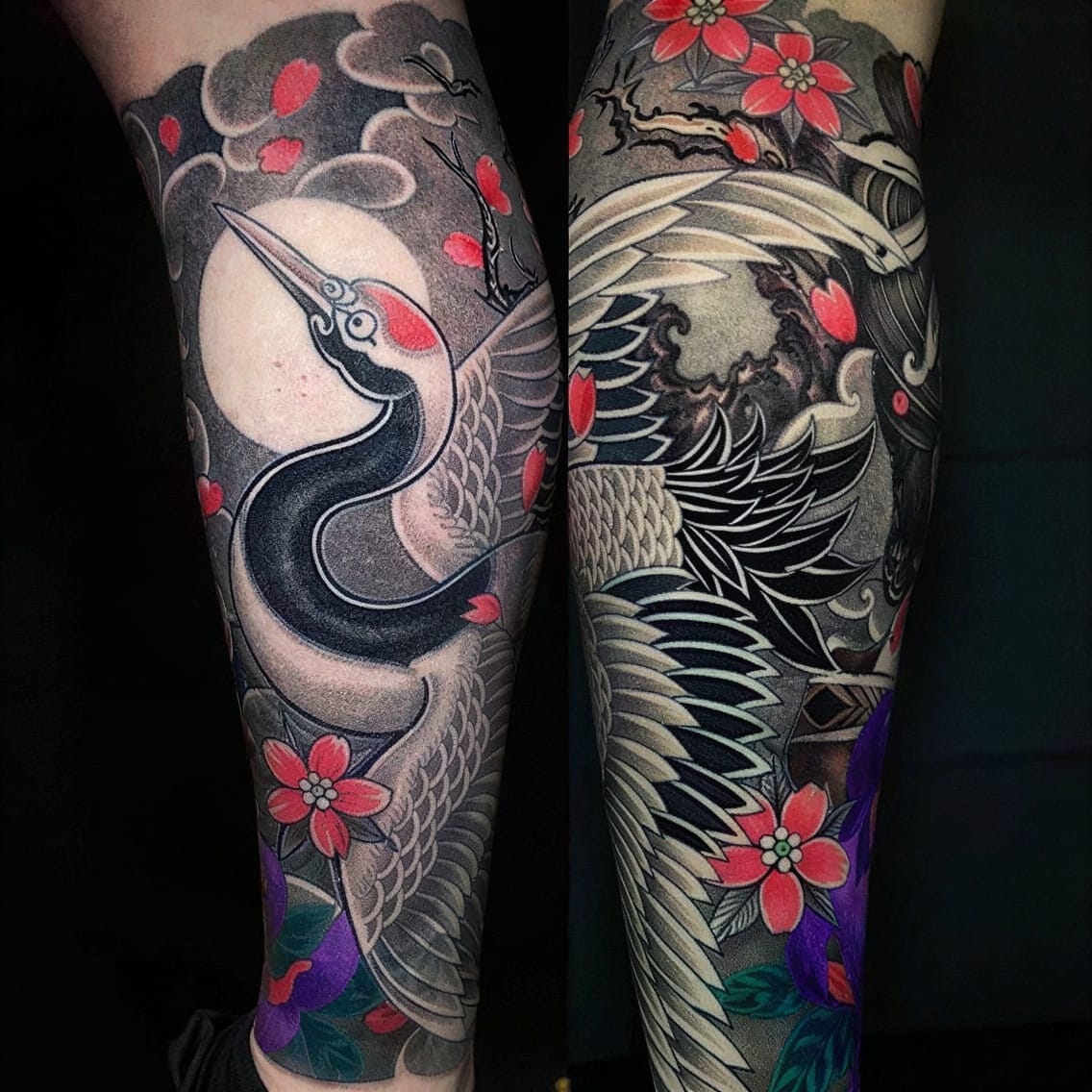 Sacred Crane Landing Lightly