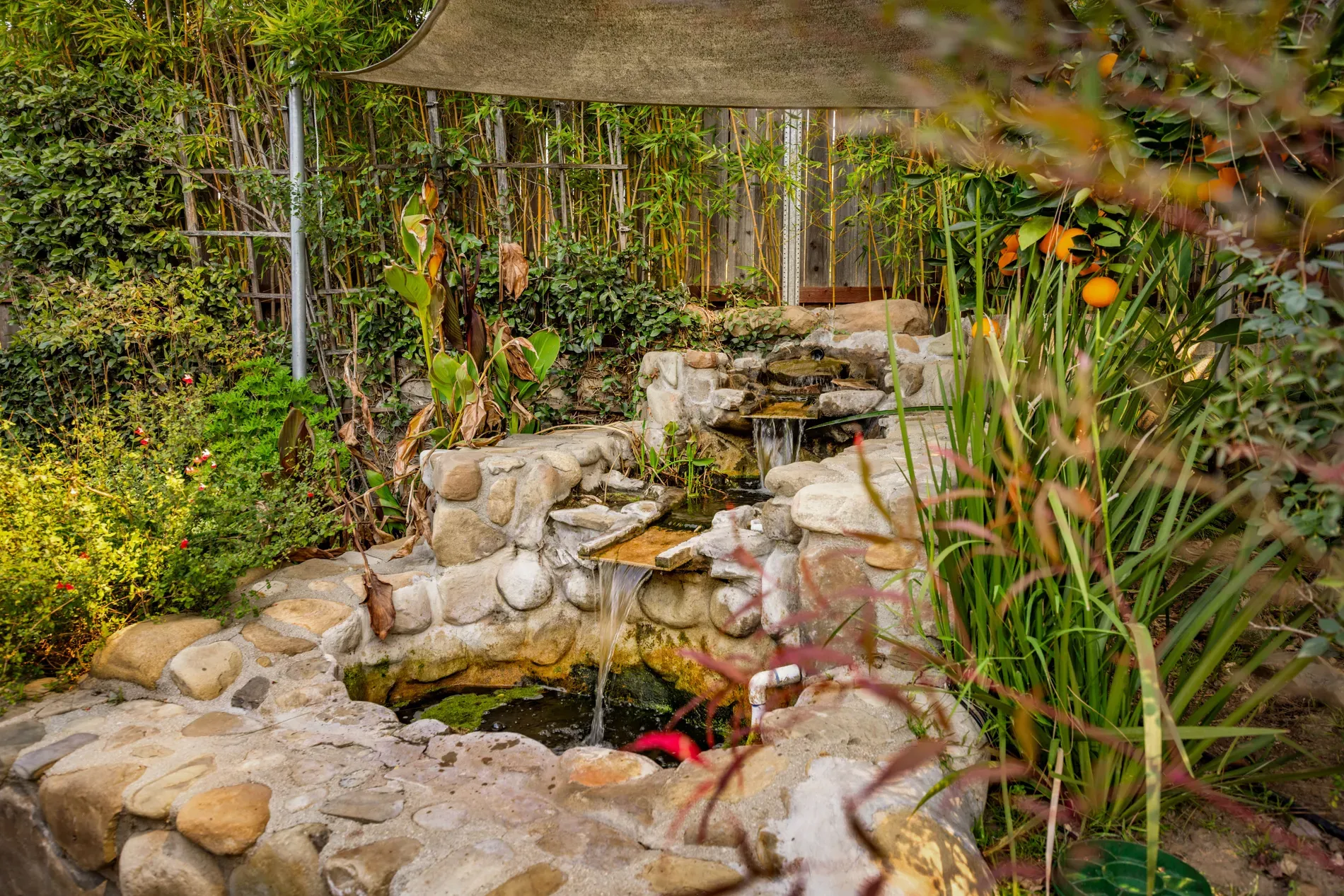Backyard waterfall into a little pond. Instant white noise machine.