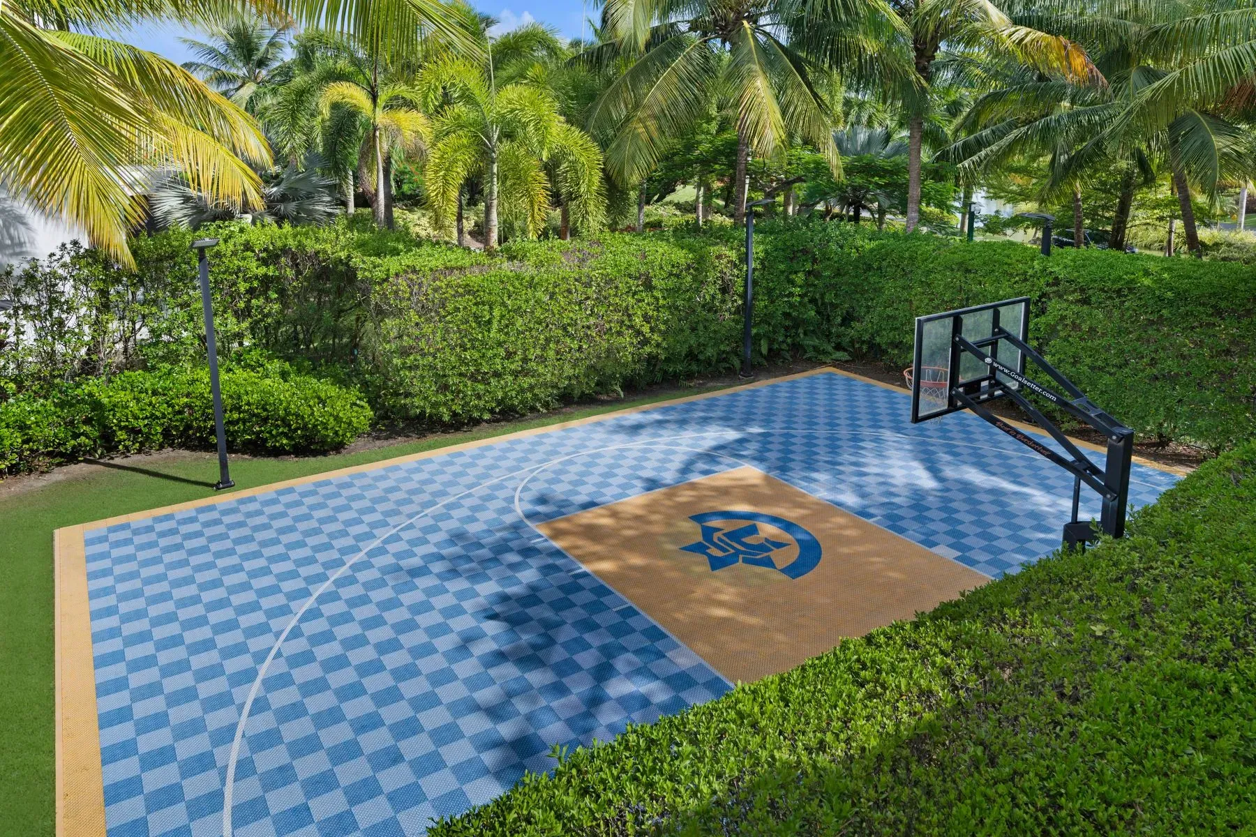 Backyard hoops with the checkerboard flex. Jungle sidelines.