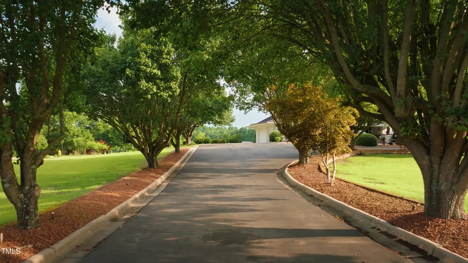 Curvy driveway under a tree tunnel. Peaceful, and probably insane in fall.
