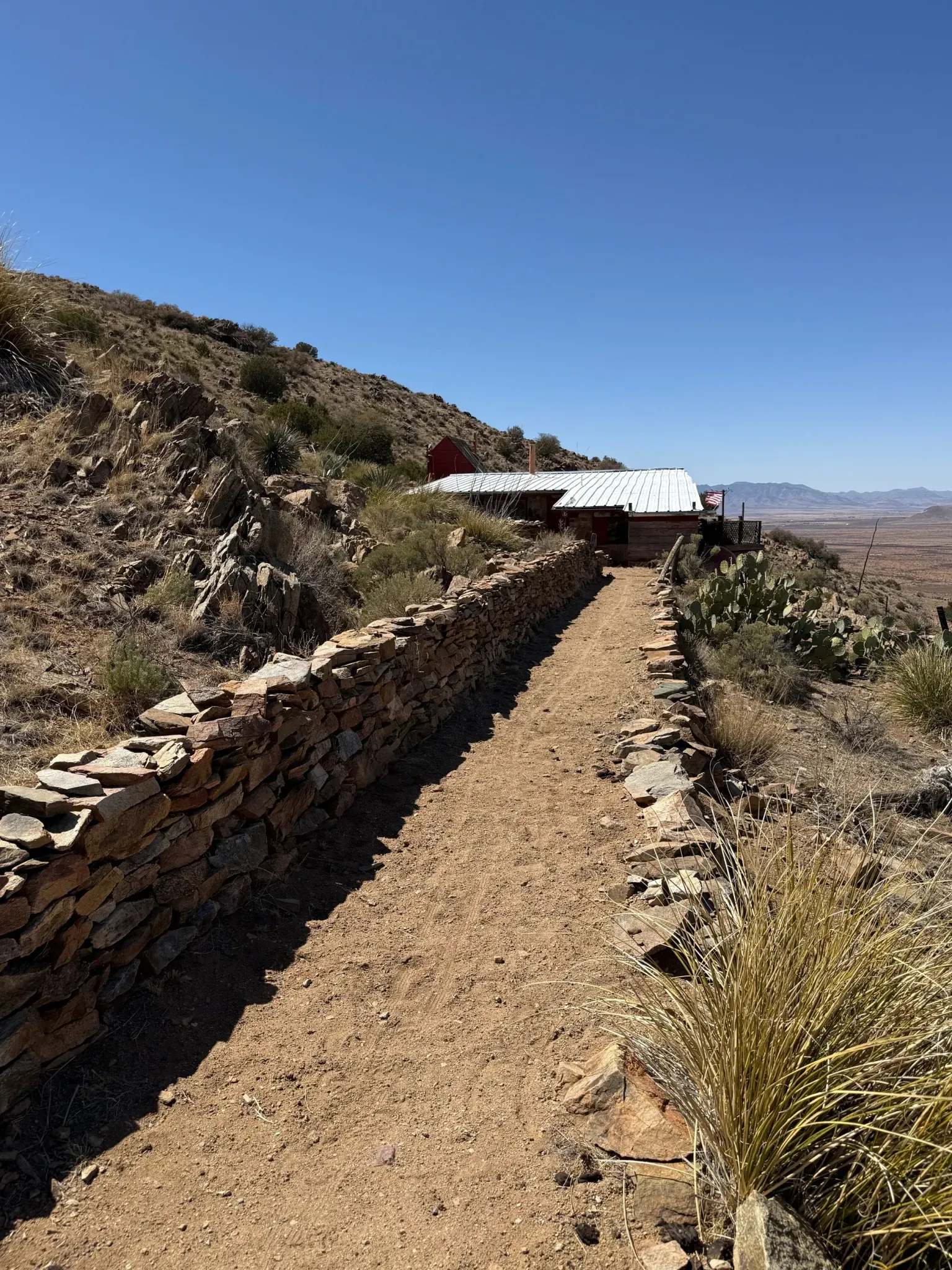 Little path, stone edging, then boom—tiny house in the cacti.