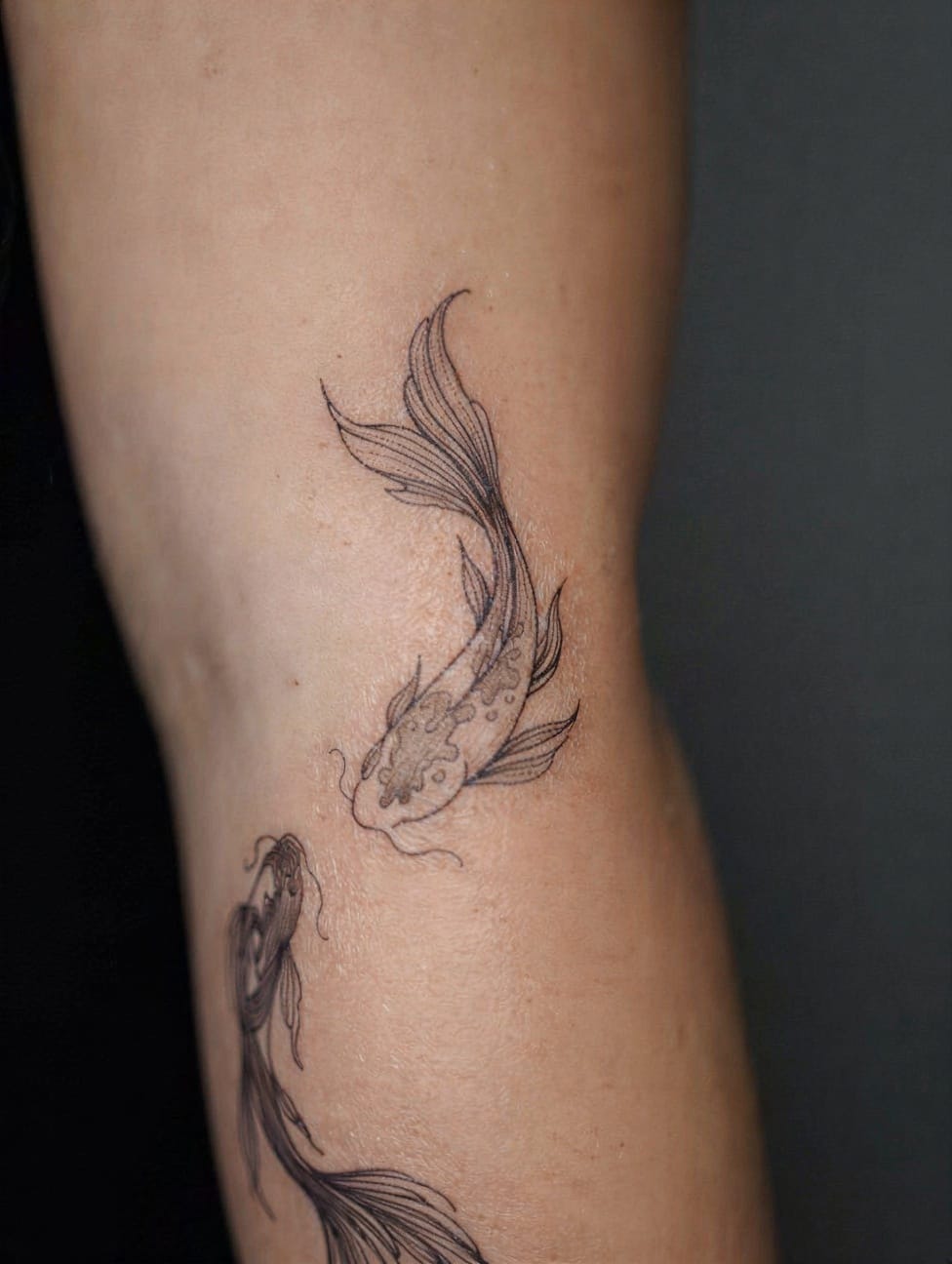 Twin Koi for Love and Balance