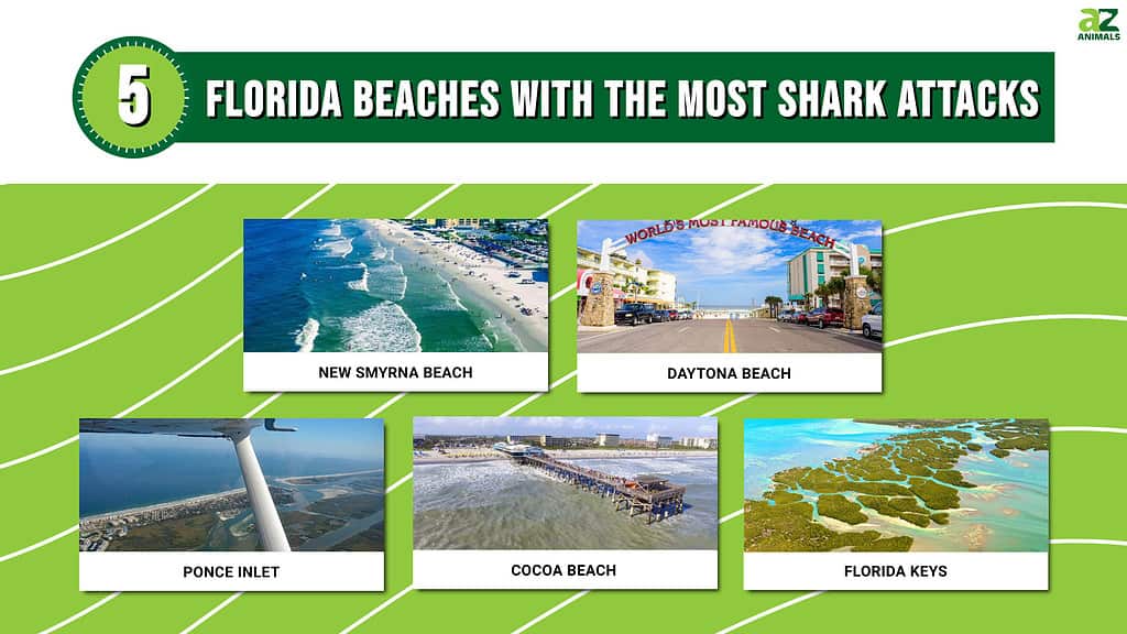 Florida beaches with most shark attacks