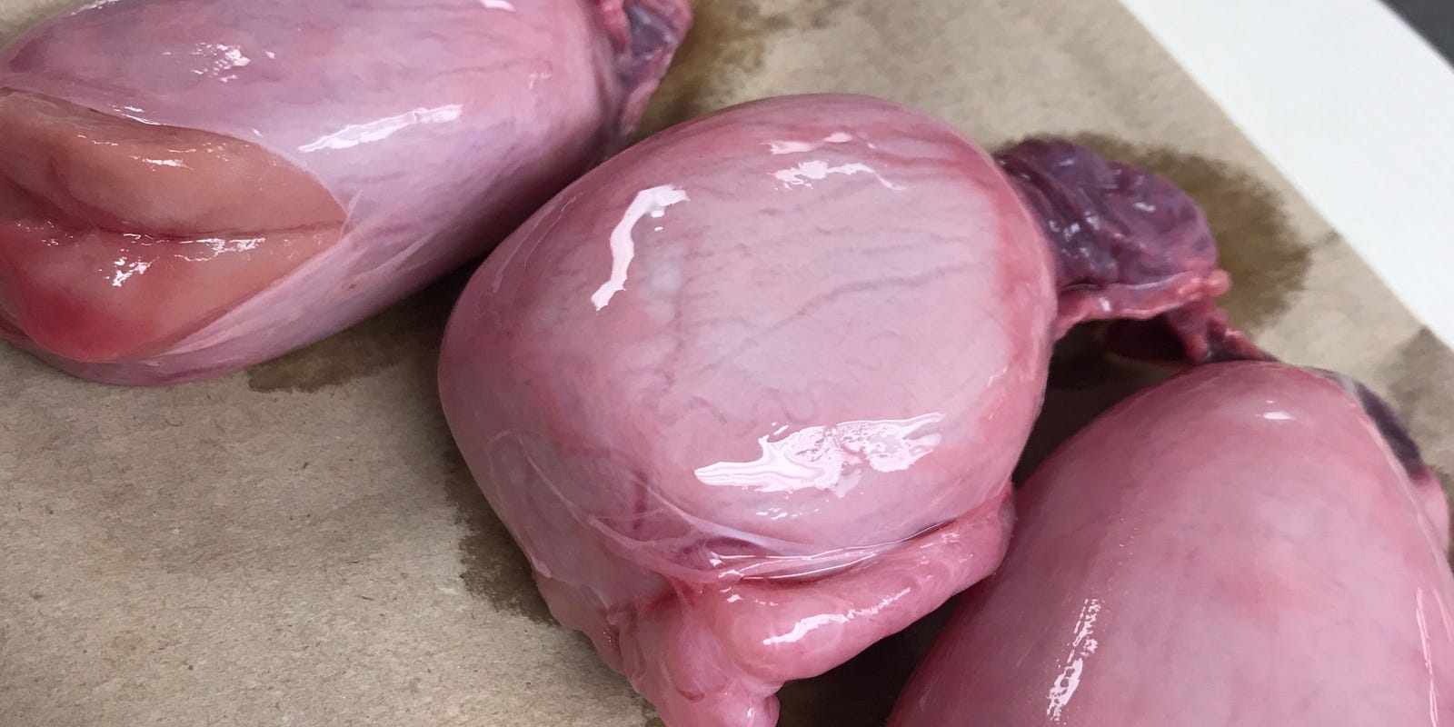 nevada: fried lamb testicles