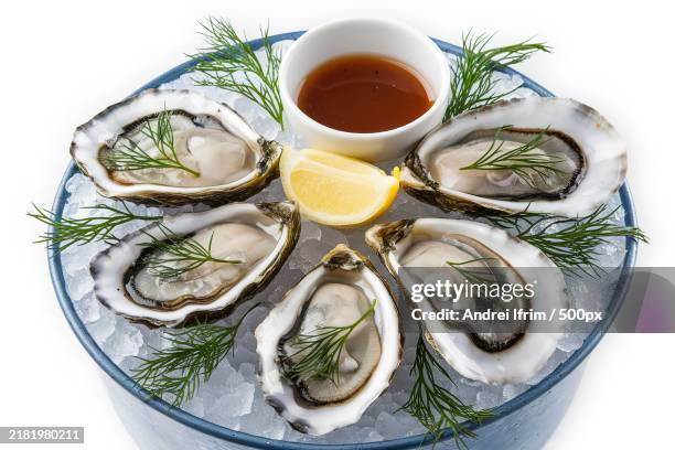 an appetizing plate with raw oysters