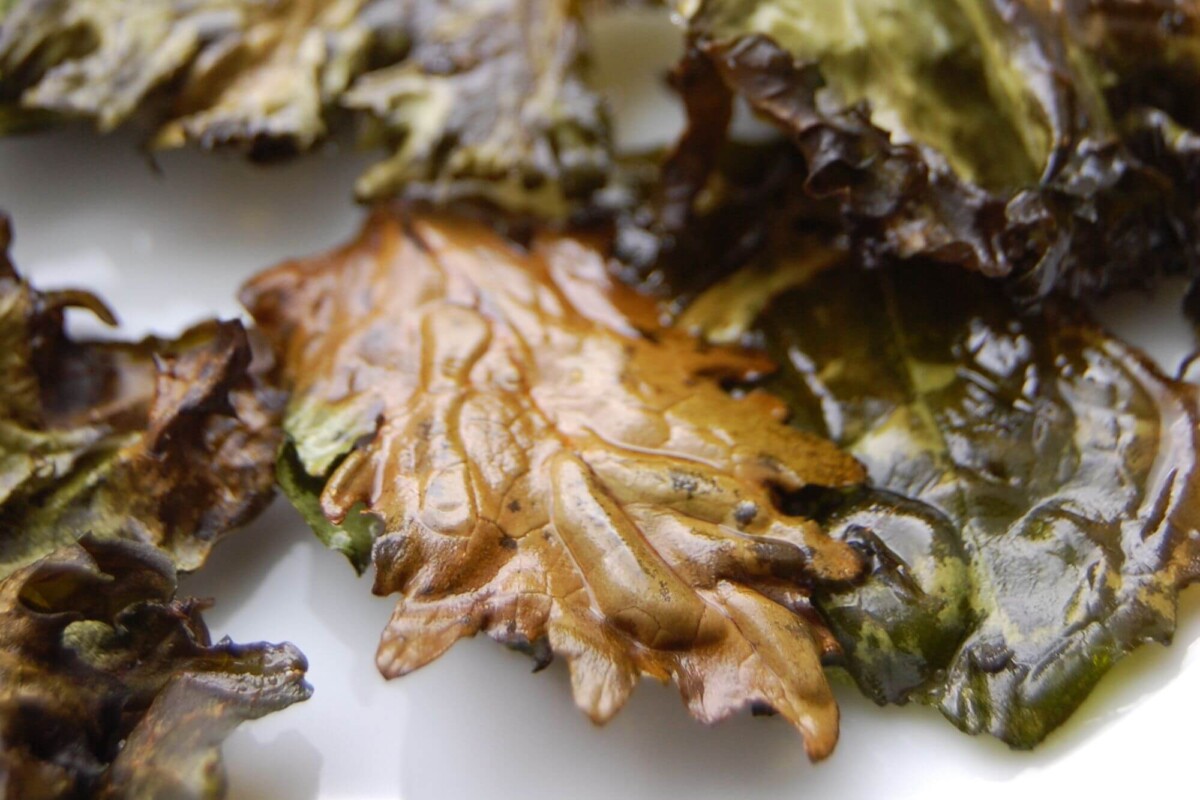 a disastrous pile with overbaked kale chips