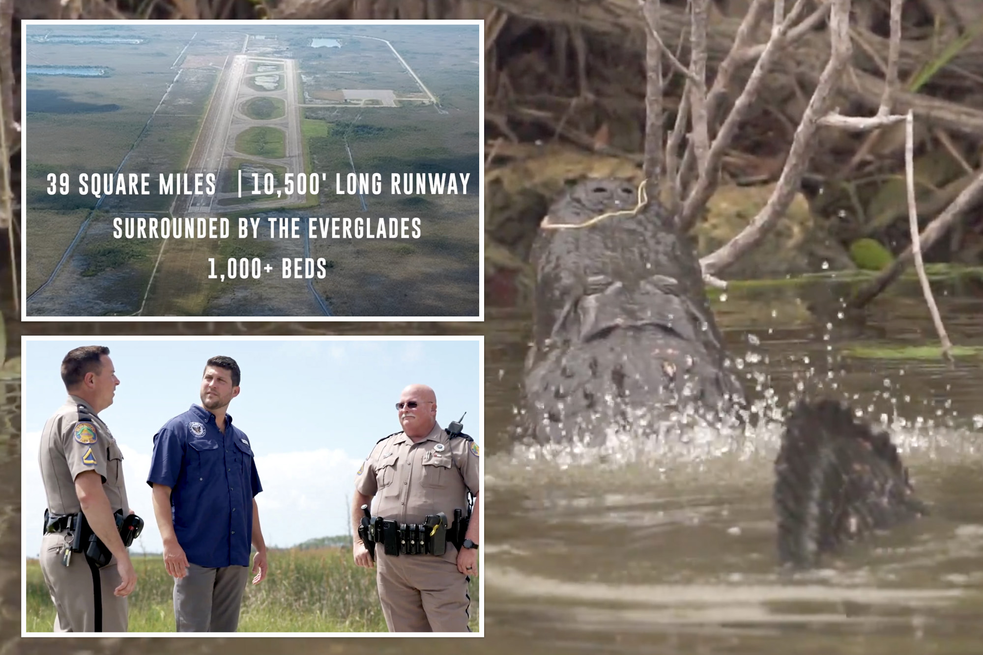 Florida offers Trump 'alligator Alcatraz' to detain illegal ...