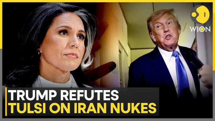 Israel-Iran War: Trump Contradicts Tulsi Gabbard's Claim on ...