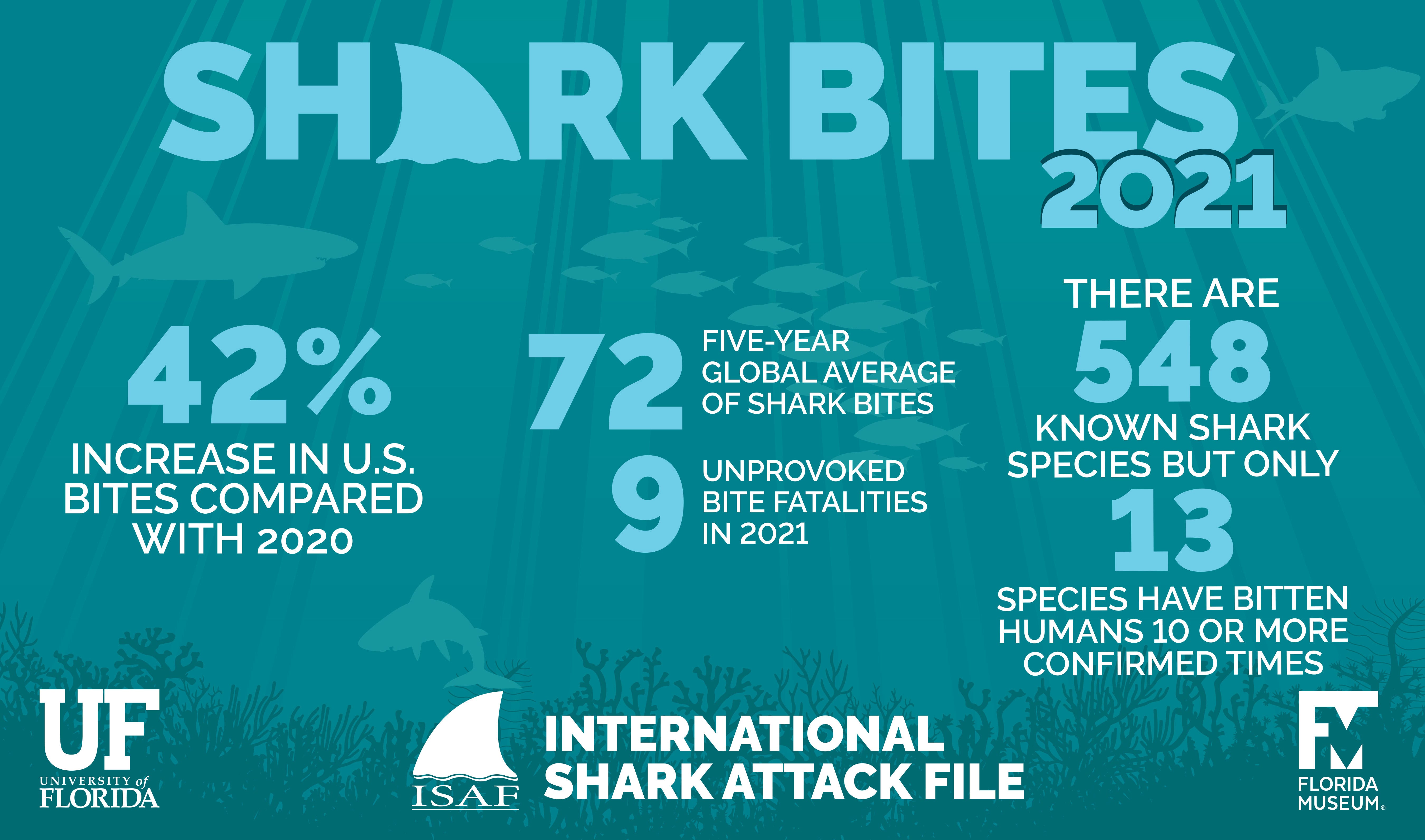 2021 Shark attack data