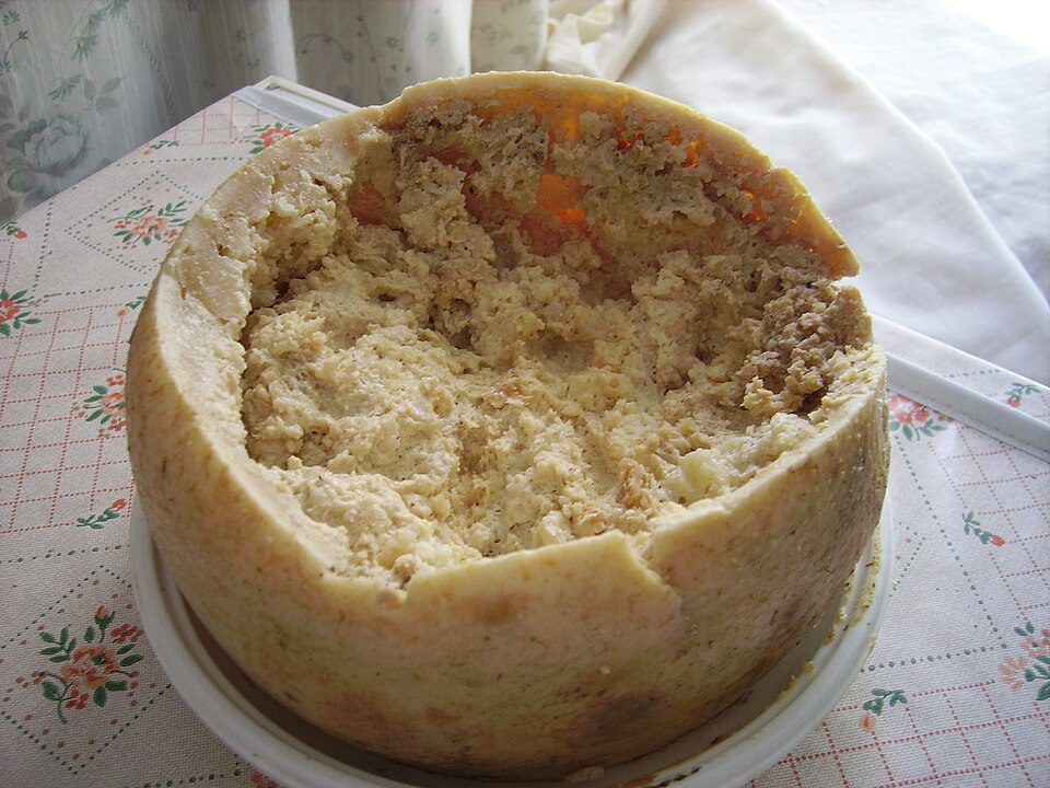 a traditional cheese with Casu Marzu