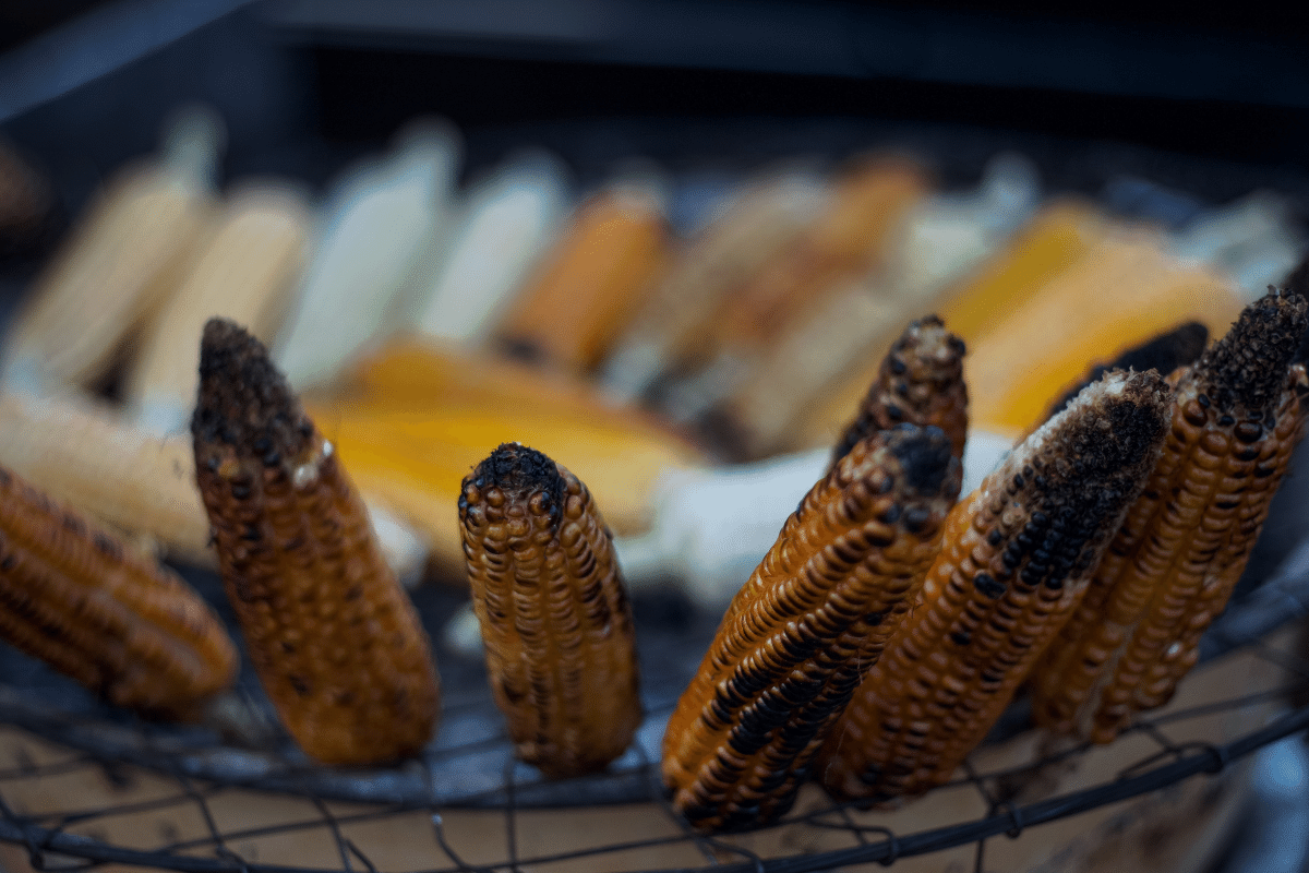 Grilled Corn on the Cob