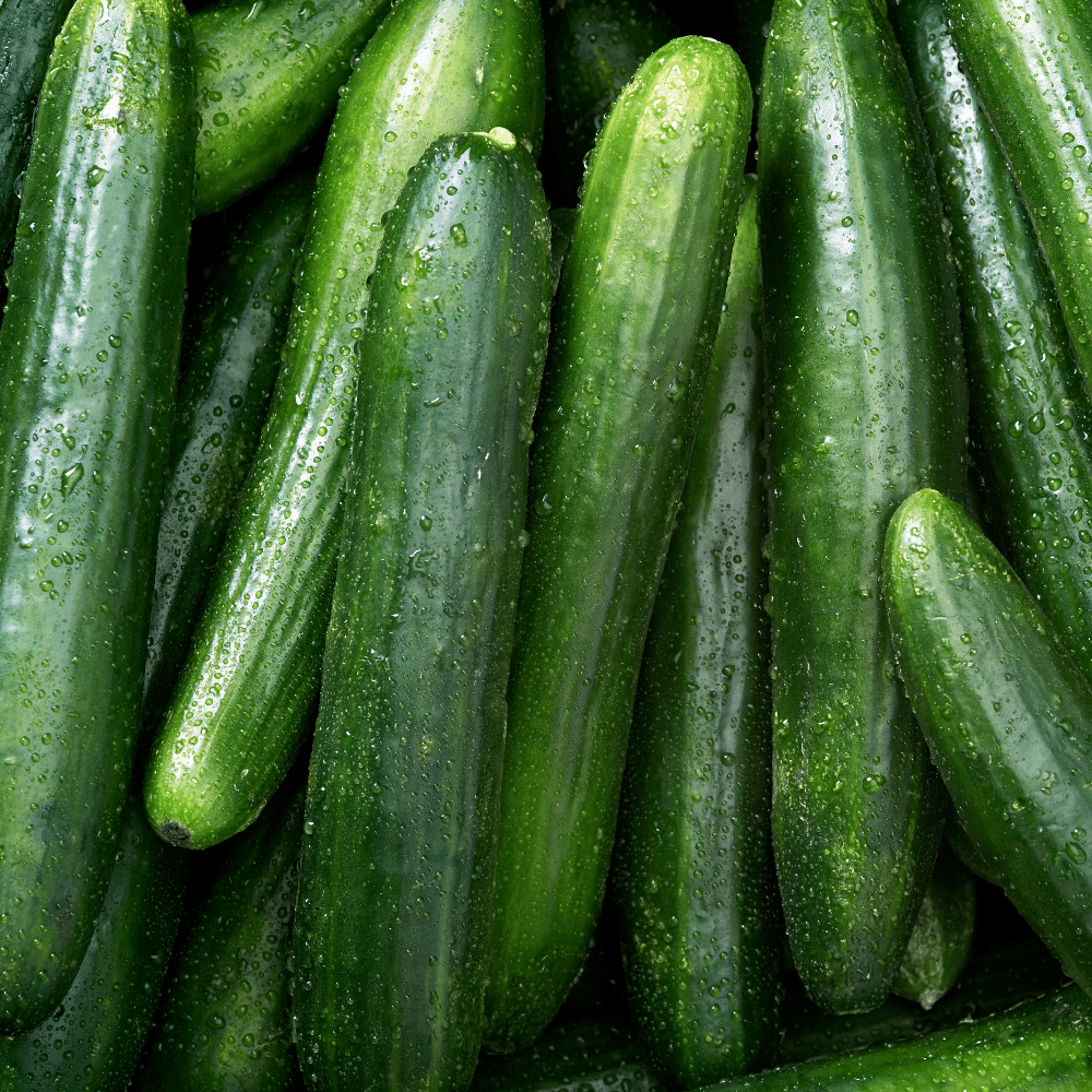 Cucumber