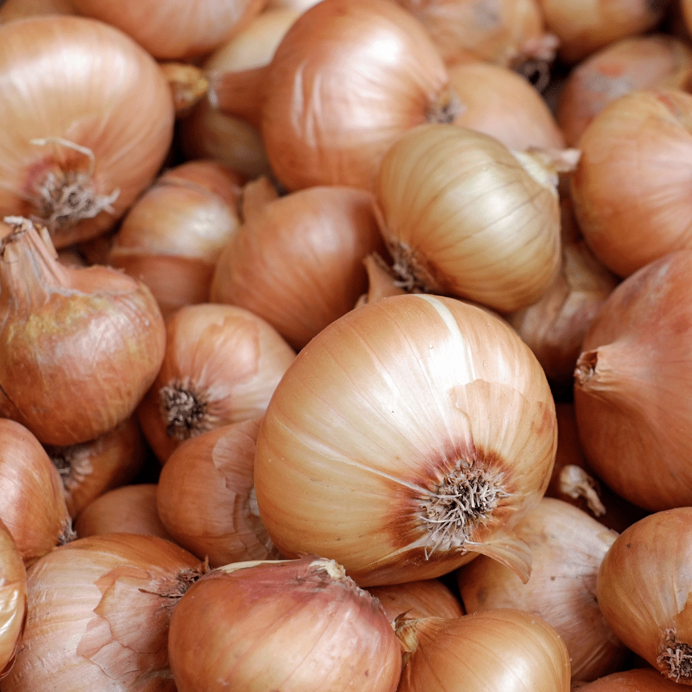 Onions