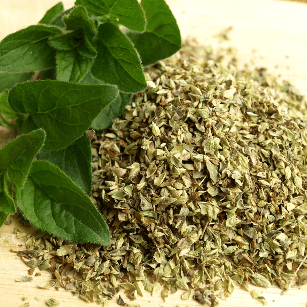 Oregano