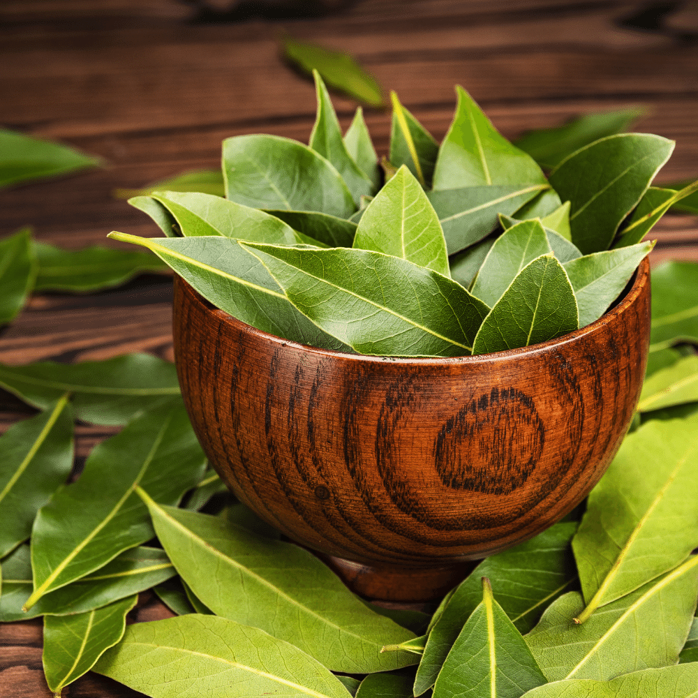Bay Leaf