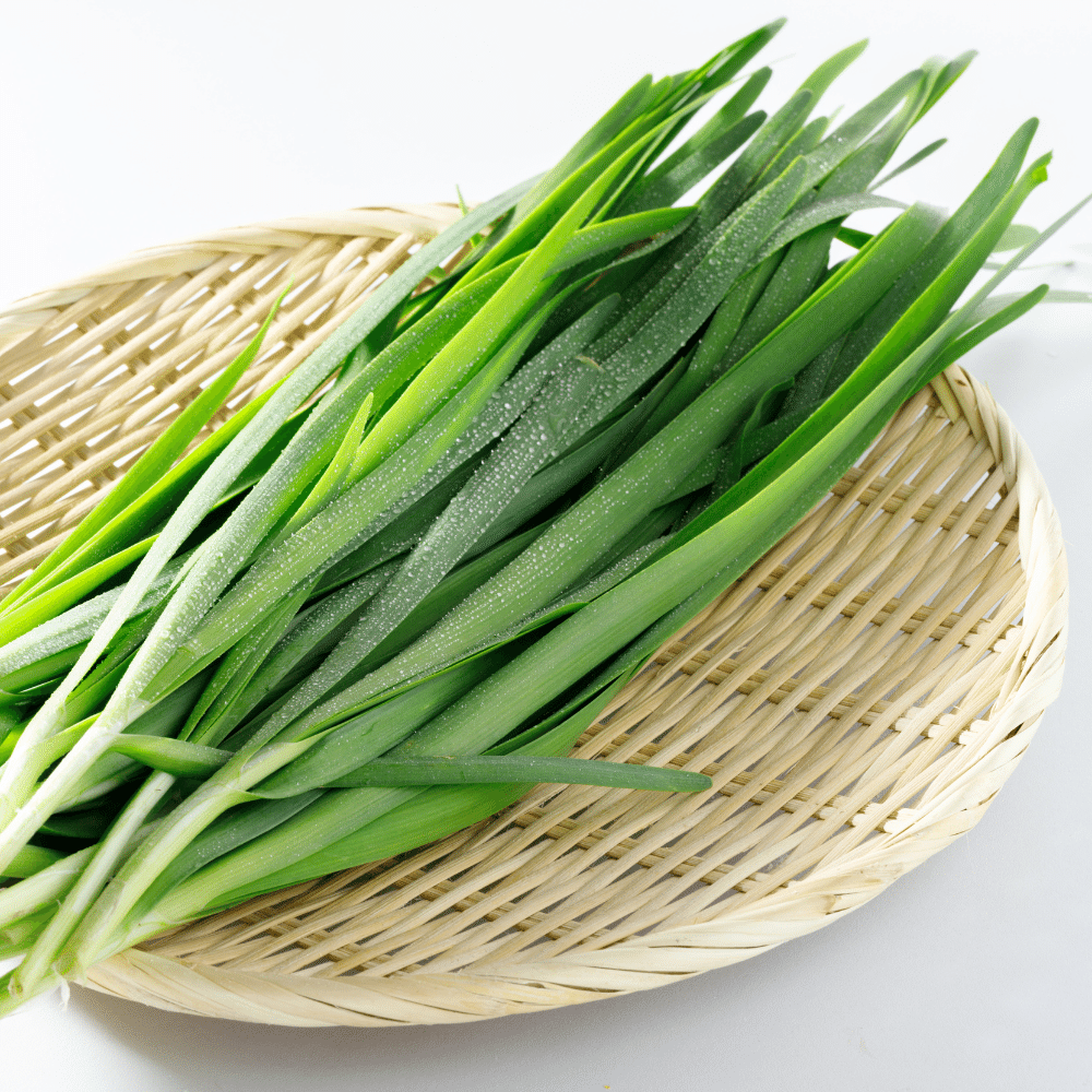 Chinese chives