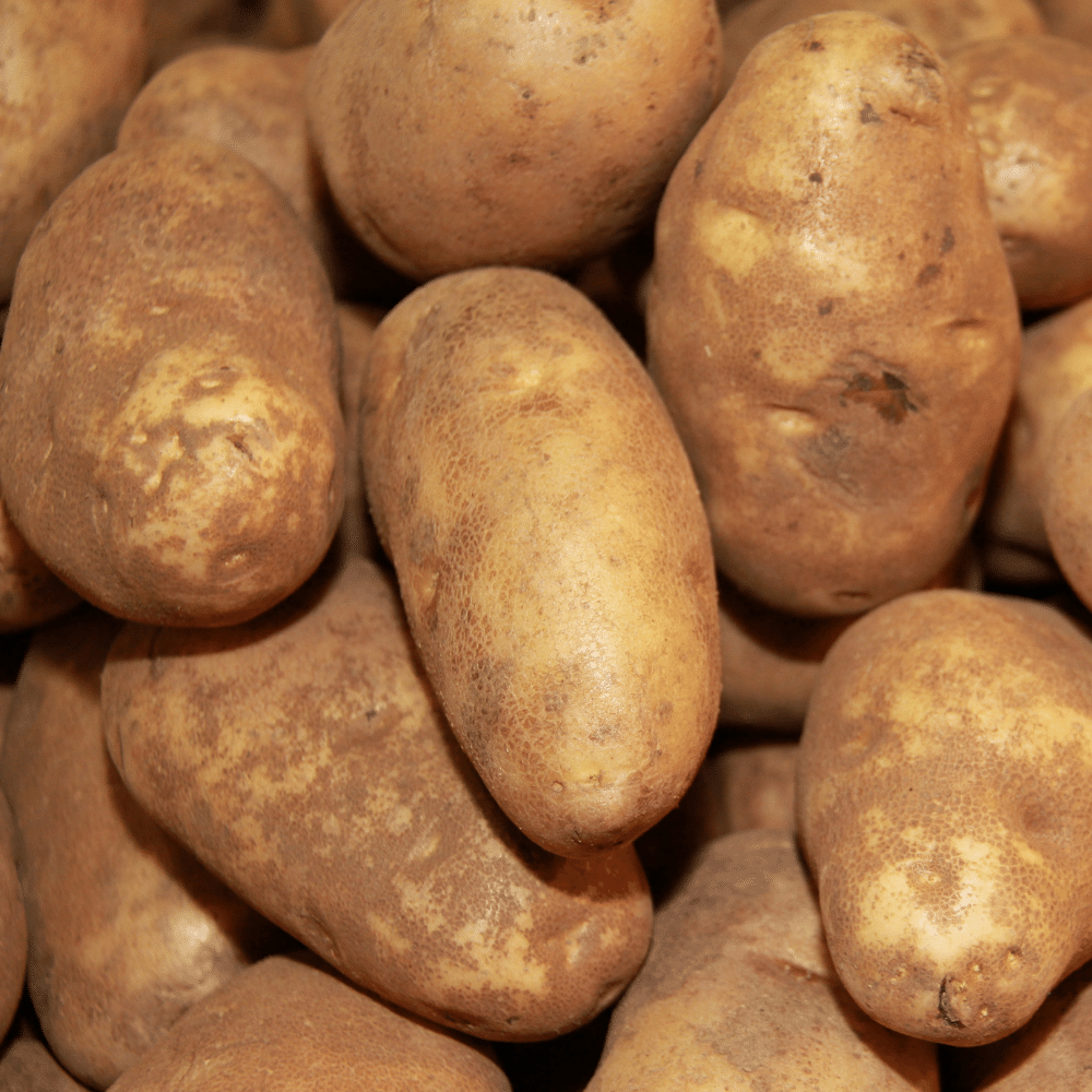 Russet Potato Side Dishes