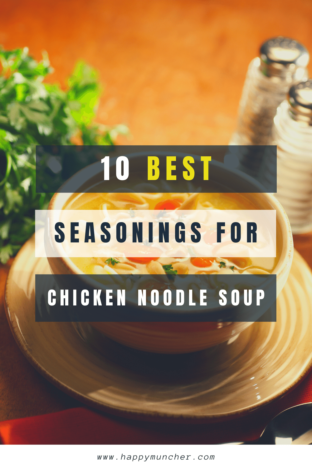 Seasonings for Chicken Noodle Soup