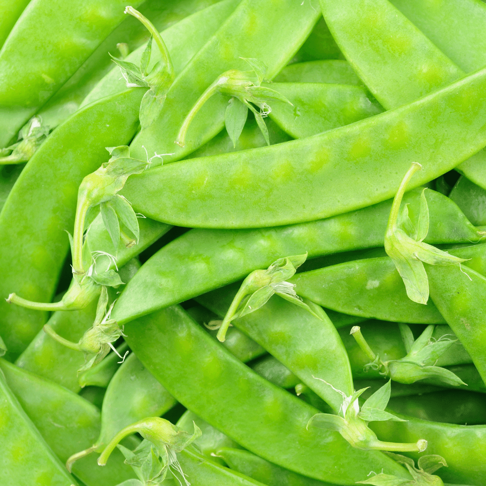 Snow Peas