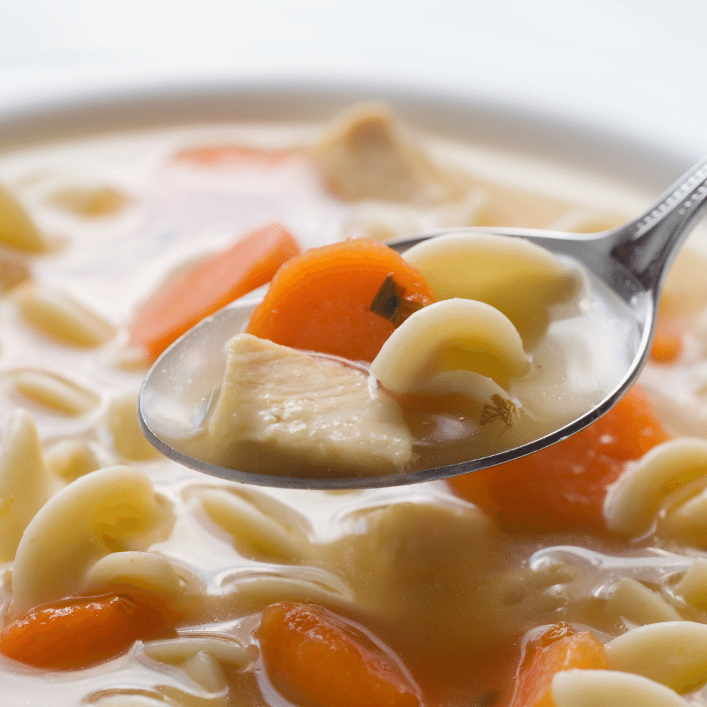 Chicken Noodle Soup