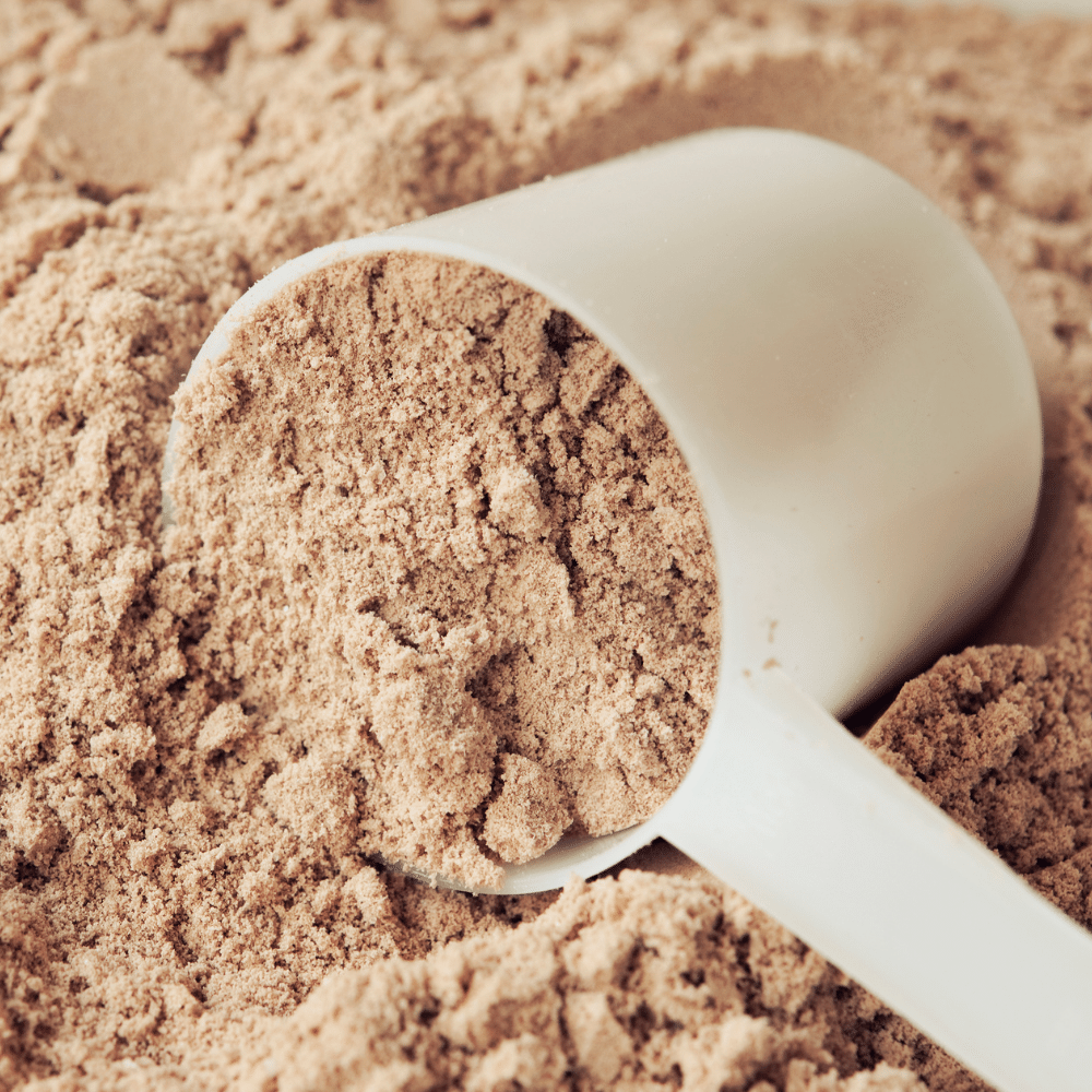 chocolate protein powder