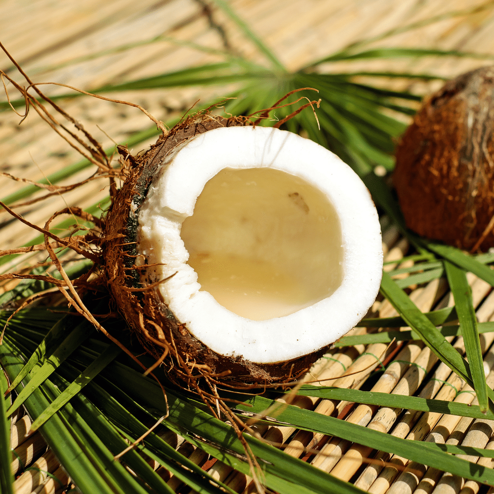 Coconut