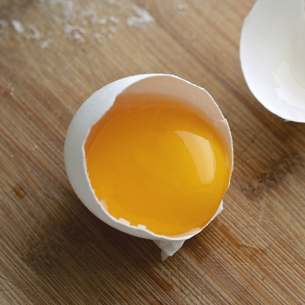 egg yolk